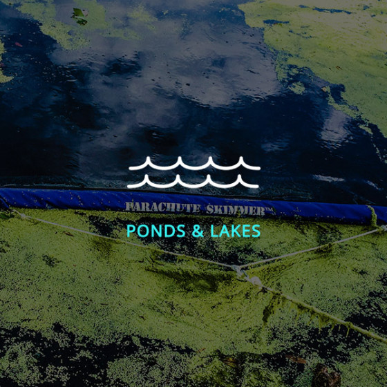 PONDS & LAKES